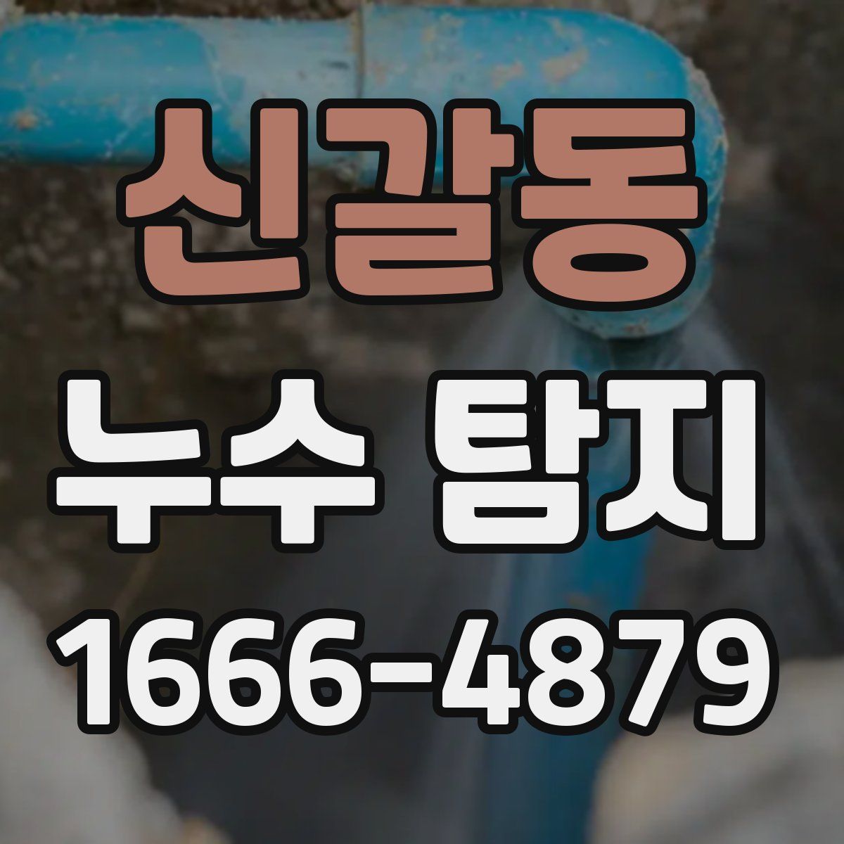 신갈동 누수 탐지