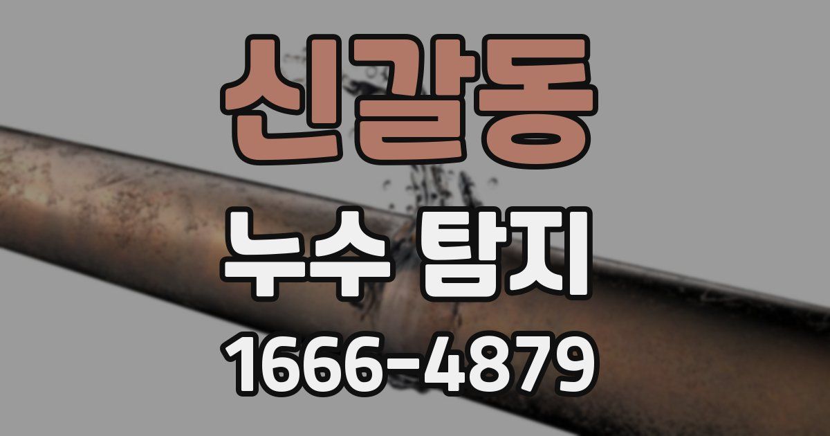 신갈동 누수 탐지