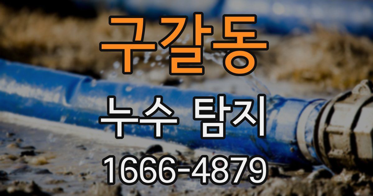 구갈동 누수 탐지