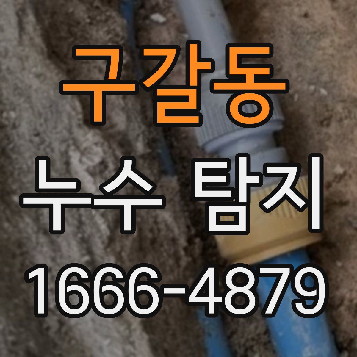 구갈동 누수 탐지