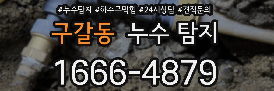 구갈동 누수 탐지