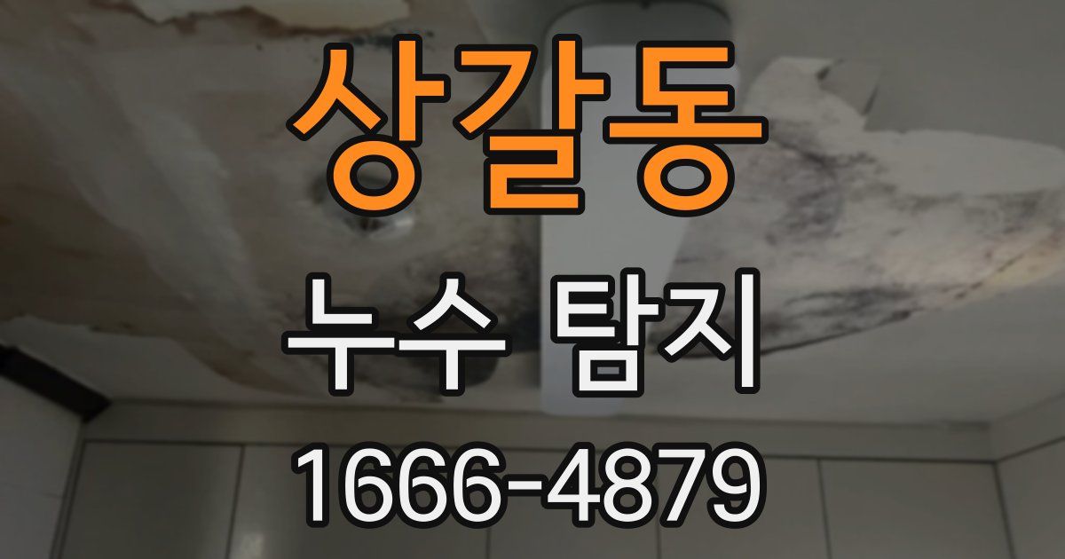 상갈동 누수 탐지