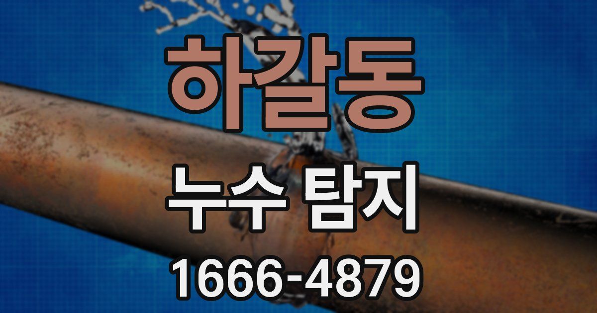 하갈동 누수 탐지