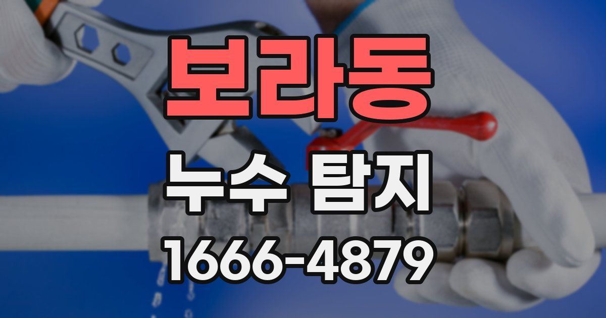 보라동 누수 탐지