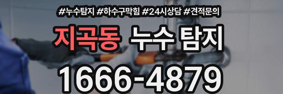 지곡동 누수 탐지