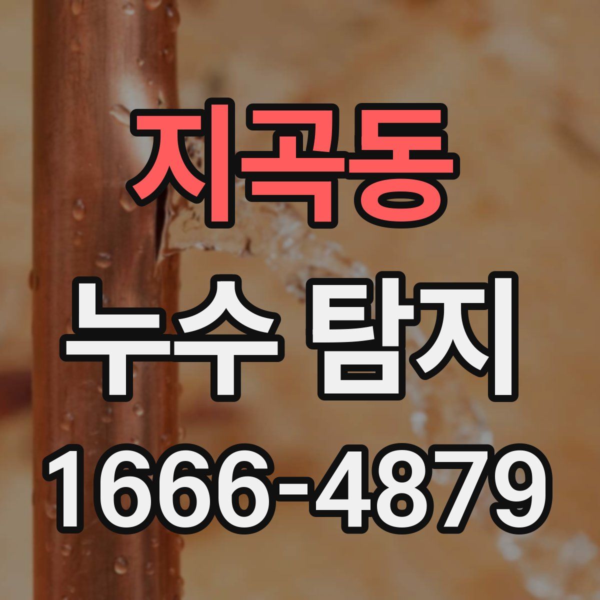 지곡동 누수 탐지