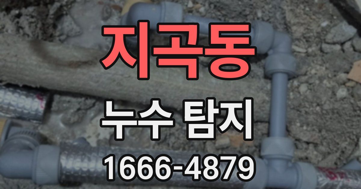 지곡동 누수 탐지
