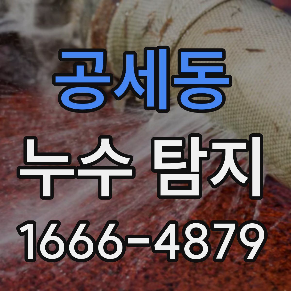 공세동 누수 탐지