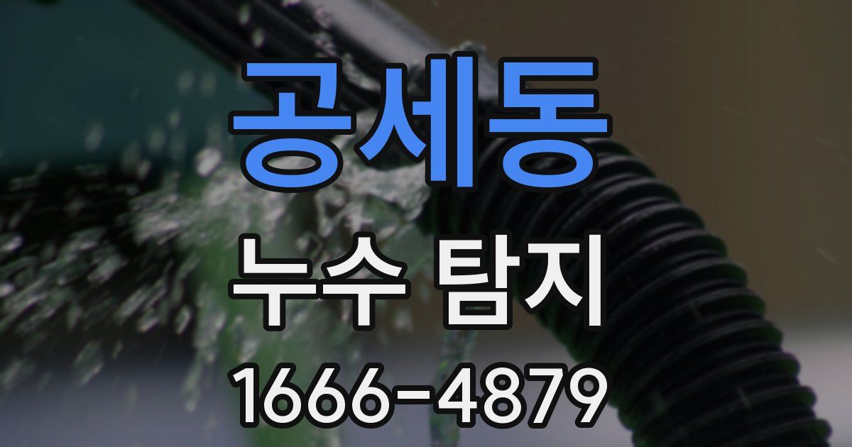 공세동 누수 탐지