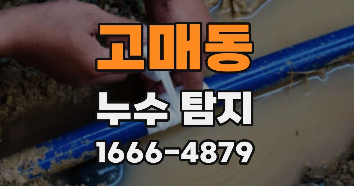고매동 누수 탐지