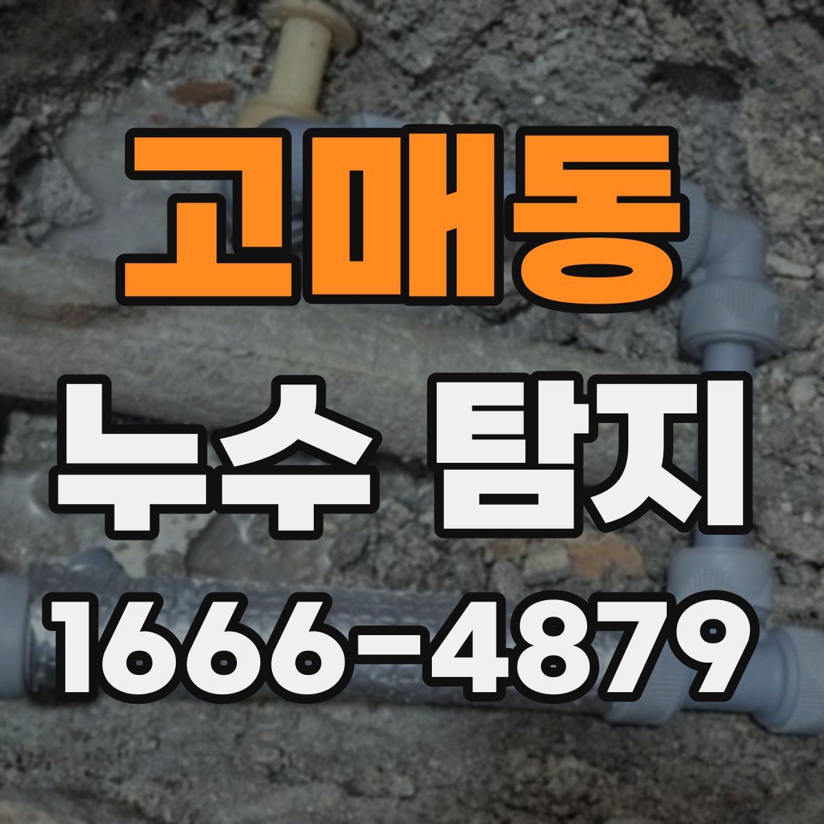 고매동 누수 탐지