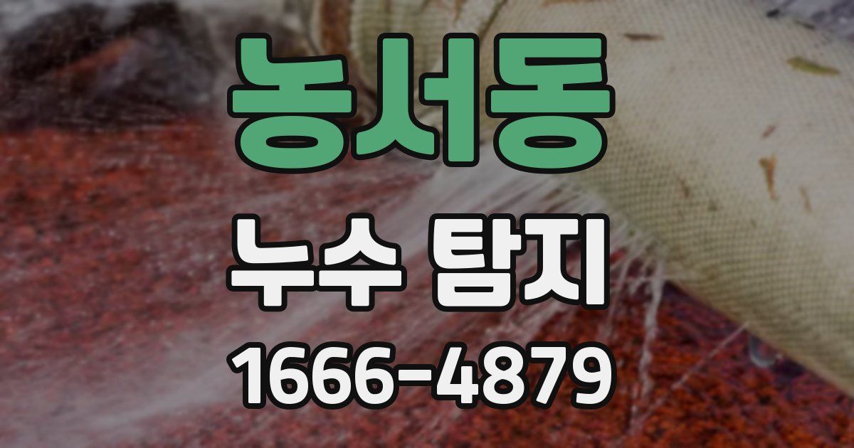 농서동 누수 탐지