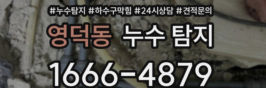 영덕동 누수 탐지