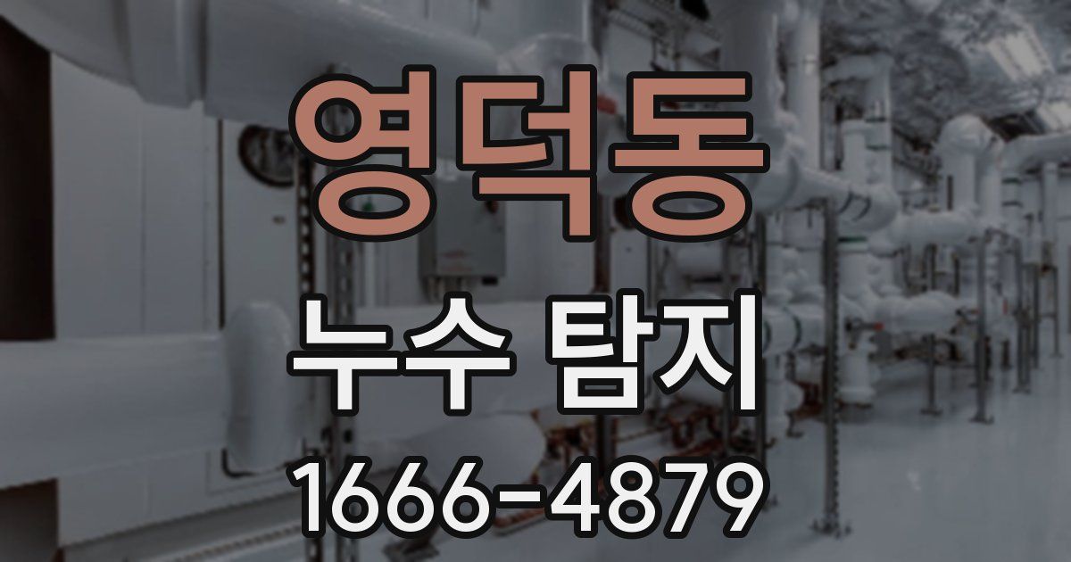 영덕동 누수 탐지