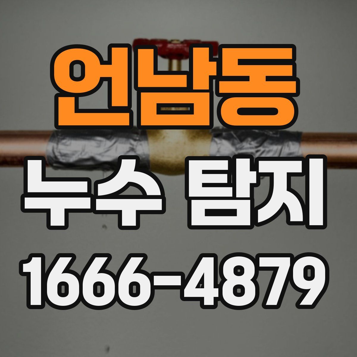 언남동 누수 탐지
