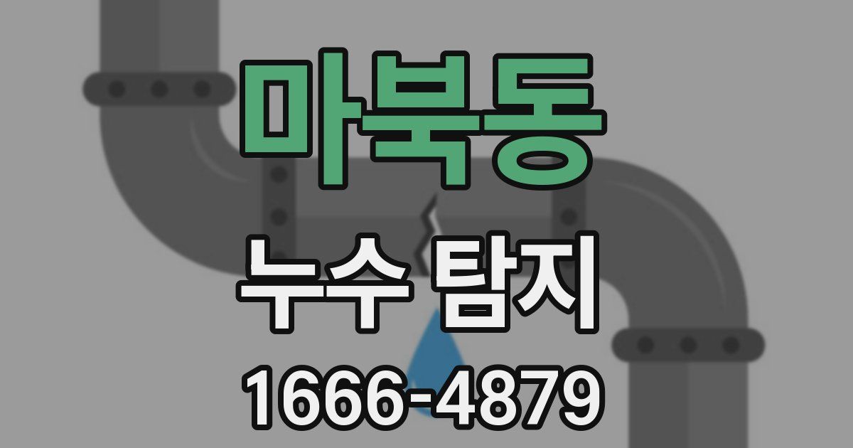 마북동 누수 탐지