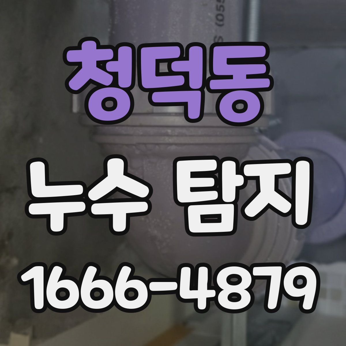 청덕동 누수 탐지