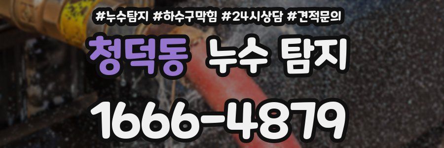 청덕동 누수 탐지