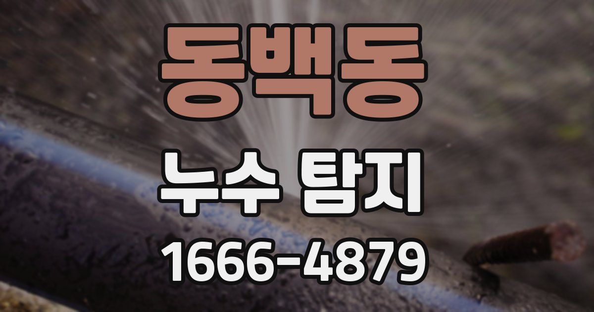 동백동 누수 탐지