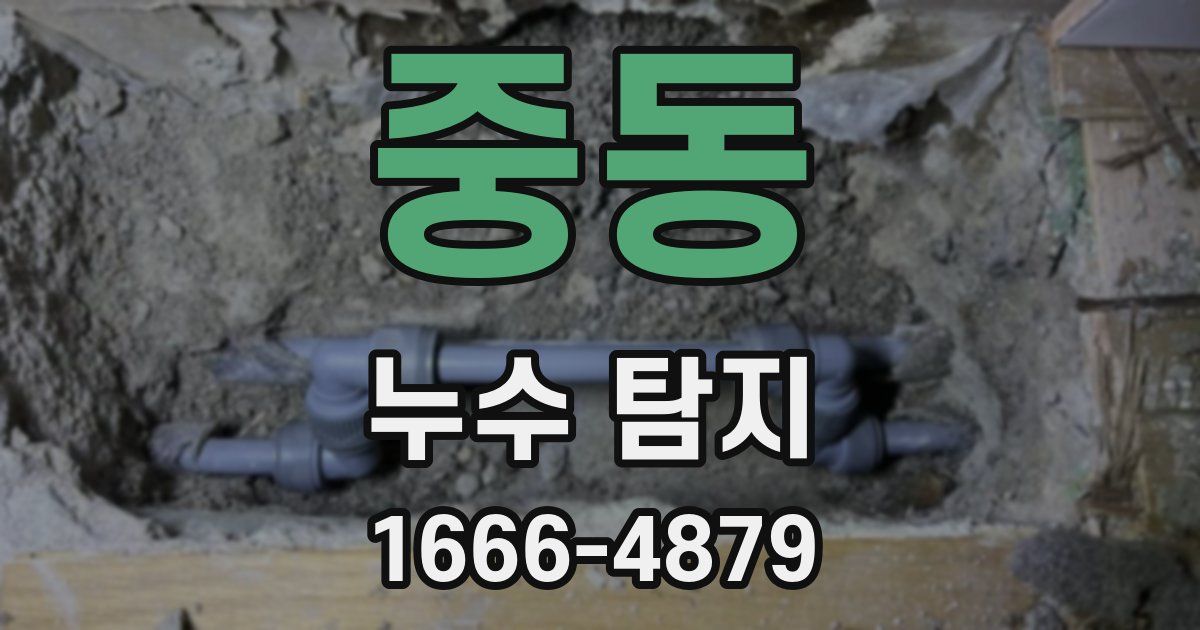 중동 누수 탐지