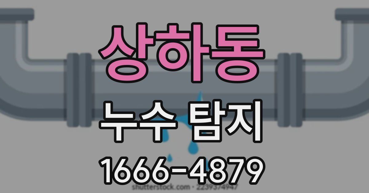 상하동 누수 탐지
