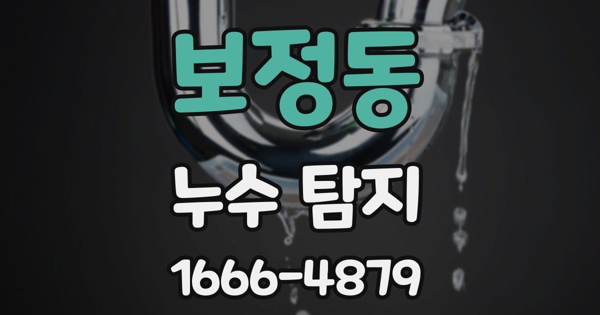 보정동 누수 탐지