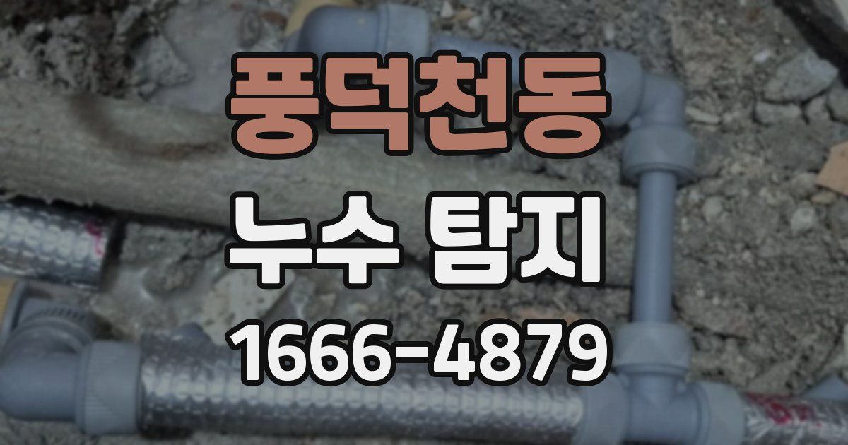 풍덕천동 누수 탐지