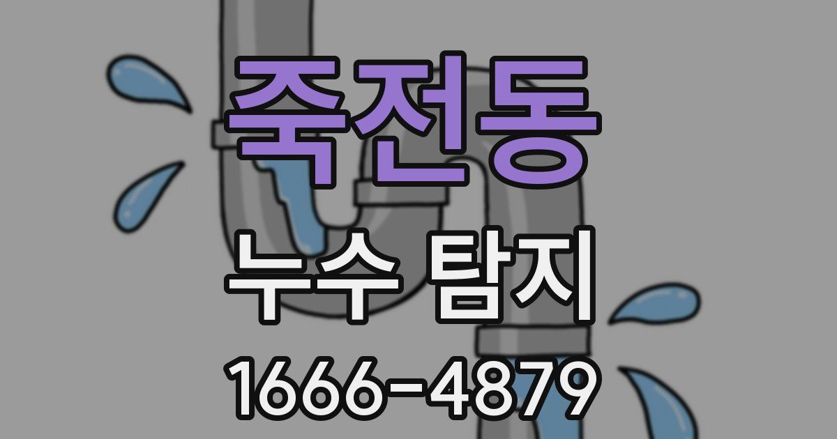 죽전동 누수 탐지