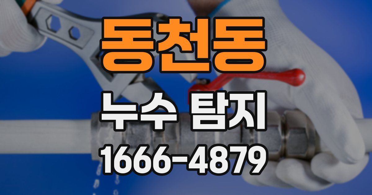 동천동 누수 탐지