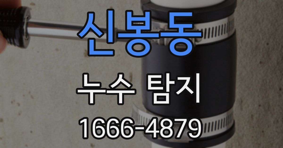 신봉동 누수 탐지