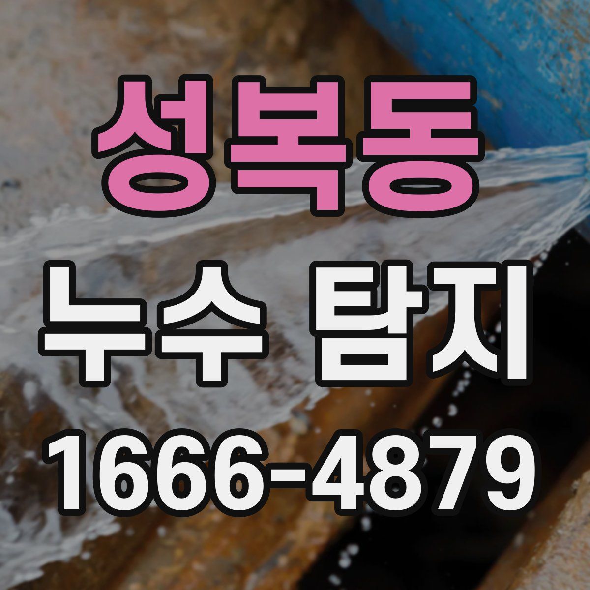 성복동 누수 탐지