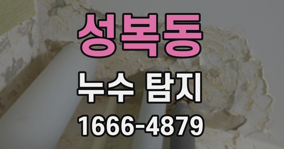 성복동 누수 탐지