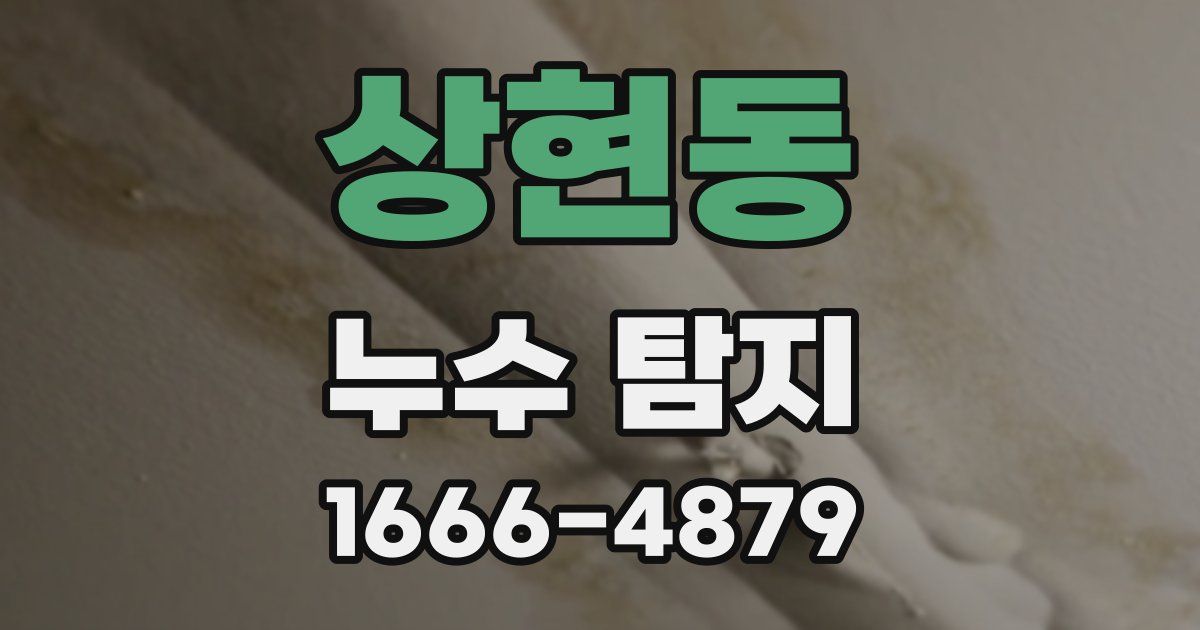 상현동 누수 탐지