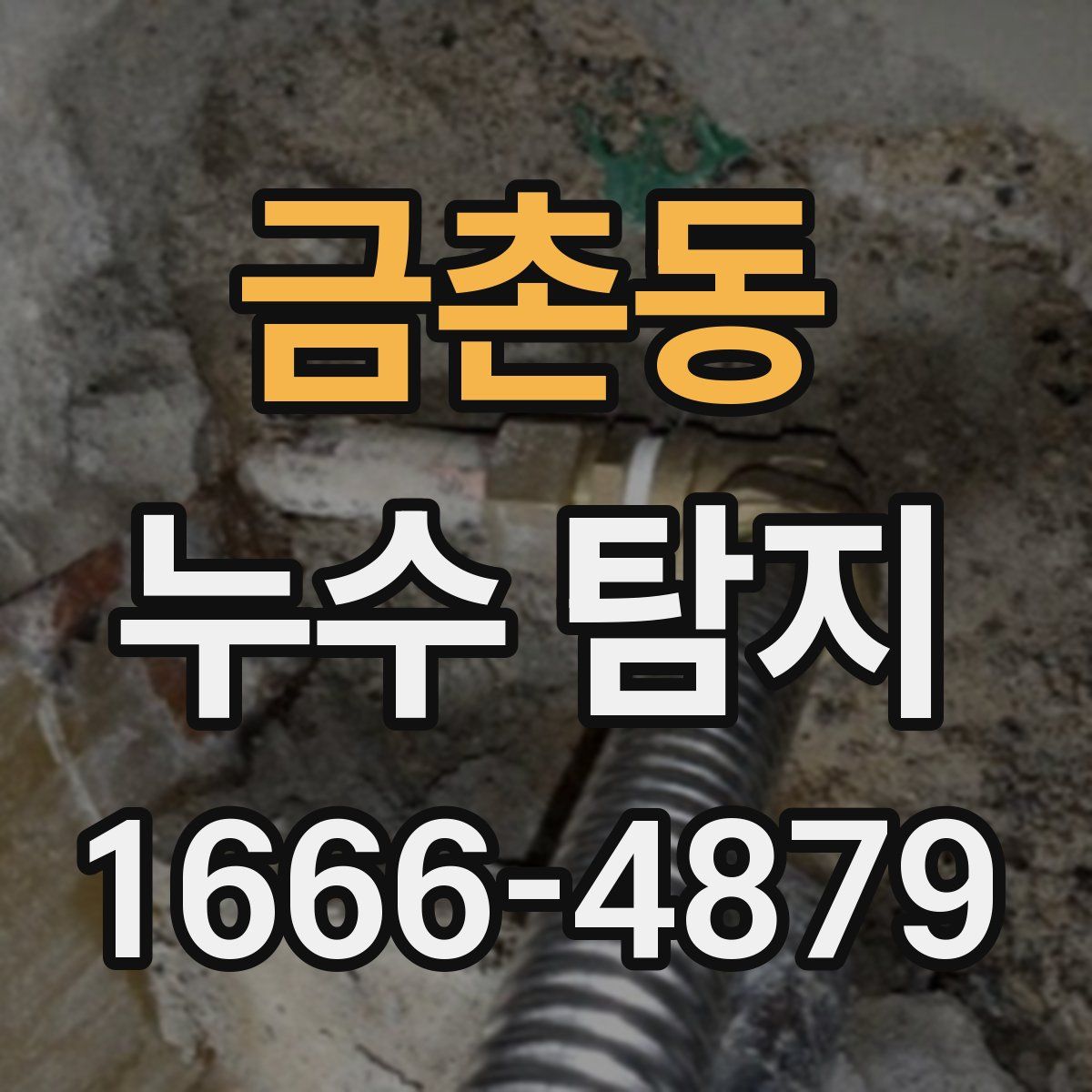 금촌동 누수 탐지