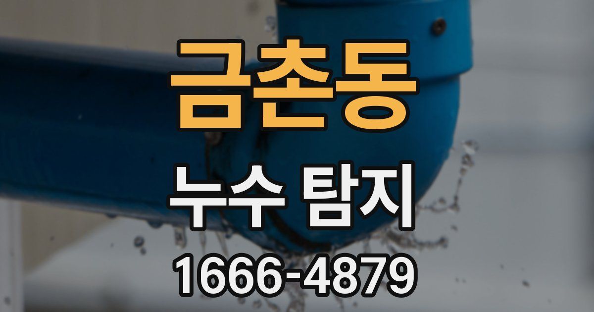 금촌동 누수 탐지