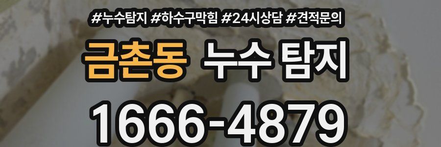 금촌동 누수 탐지