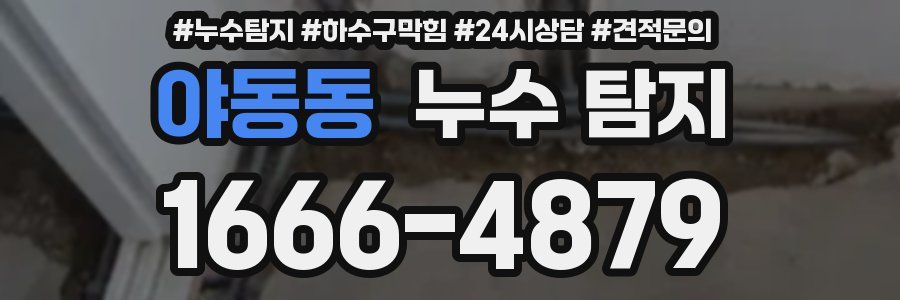 야동동 누수 탐지