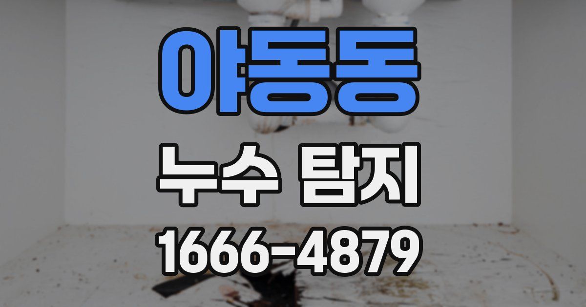 야동동 누수 탐지