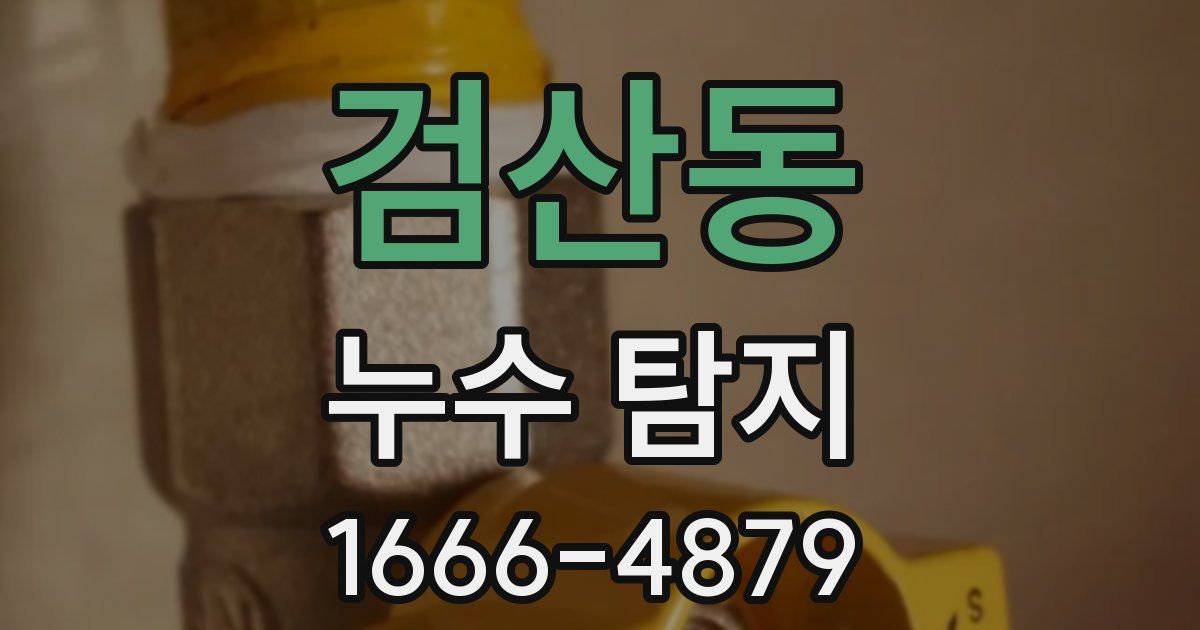 검산동 누수 탐지