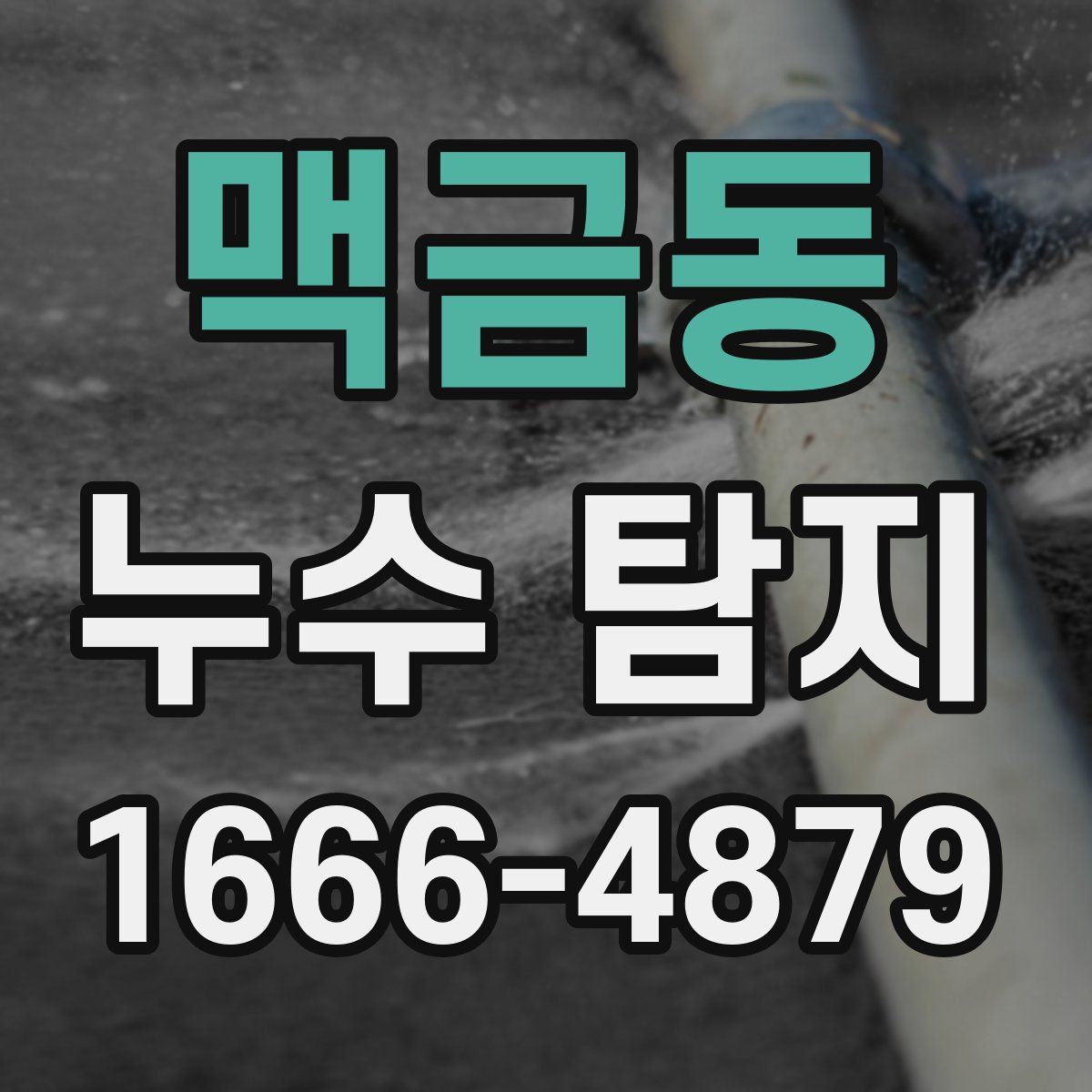 맥금동 누수 탐지