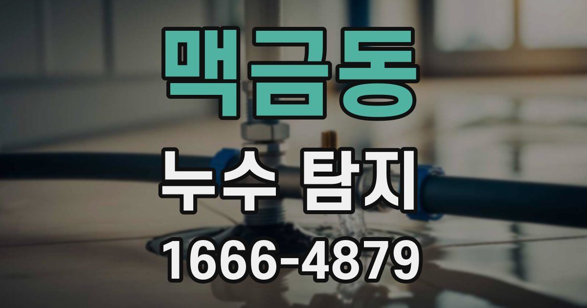 맥금동 누수 탐지
