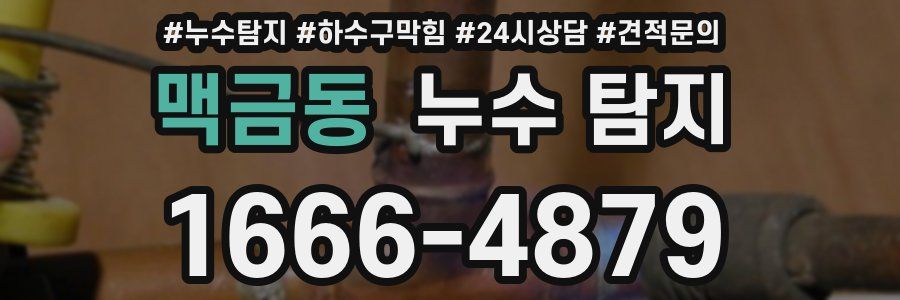 맥금동 누수 탐지