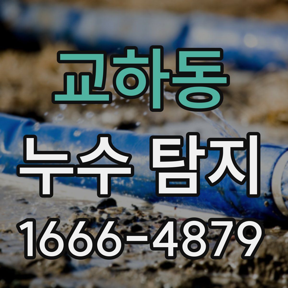 교하동 누수 탐지