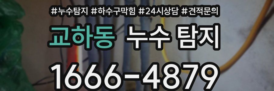 교하동 누수 탐지
