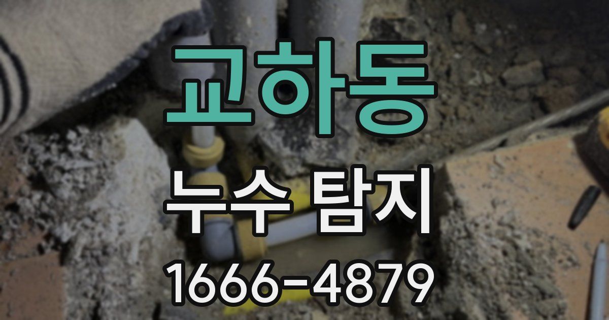 교하동 누수 탐지