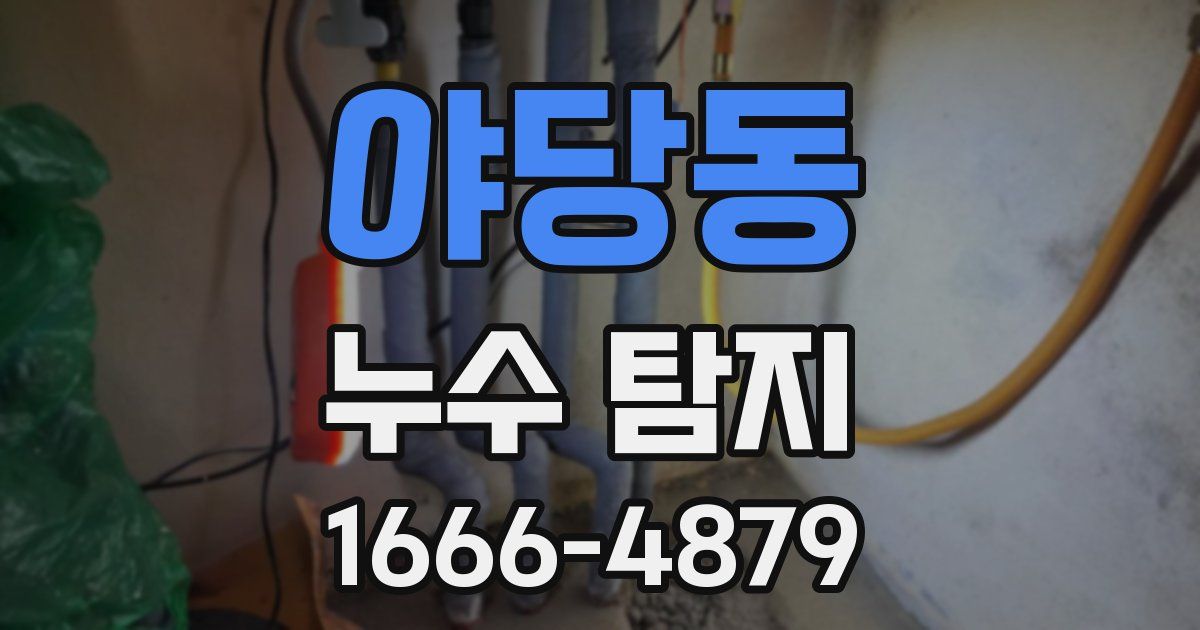 야당동 누수 탐지