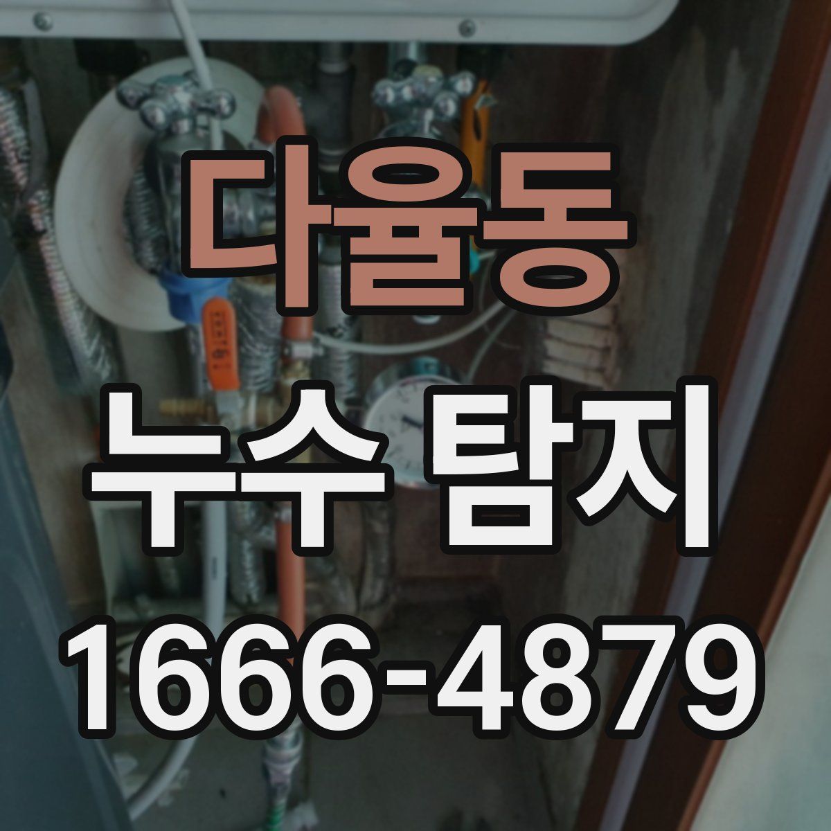 다율동 누수 탐지