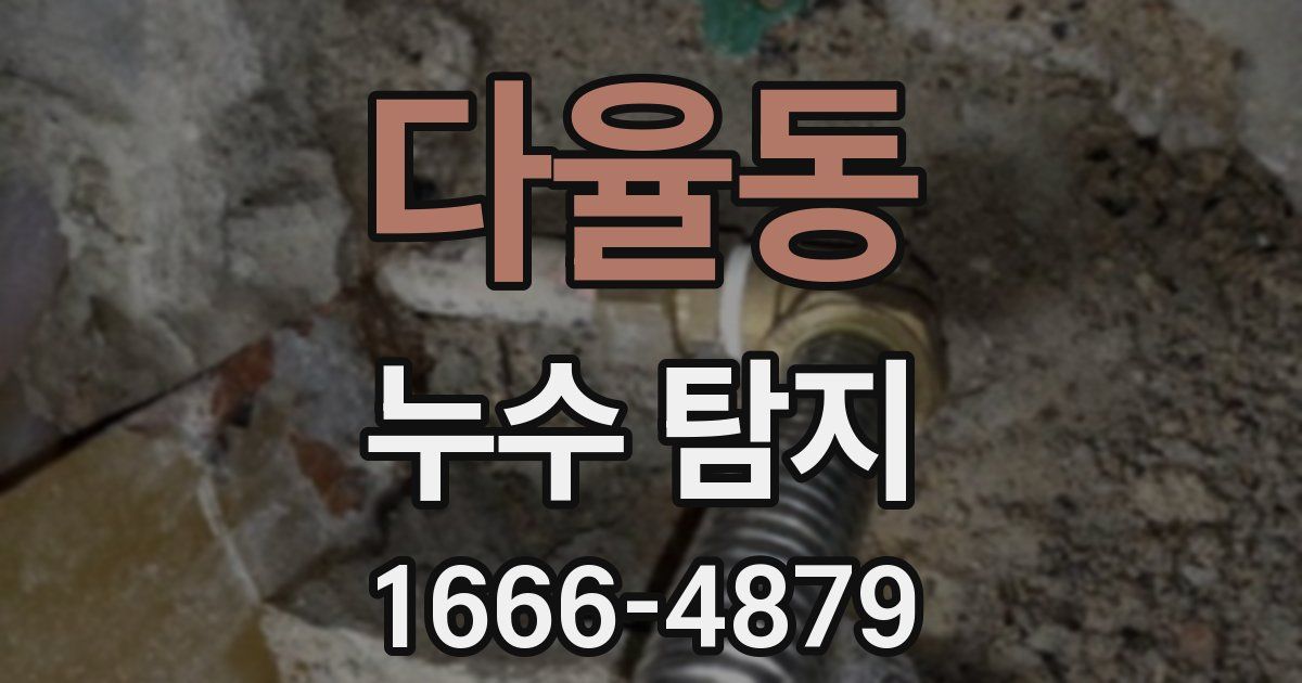 다율동 누수 탐지