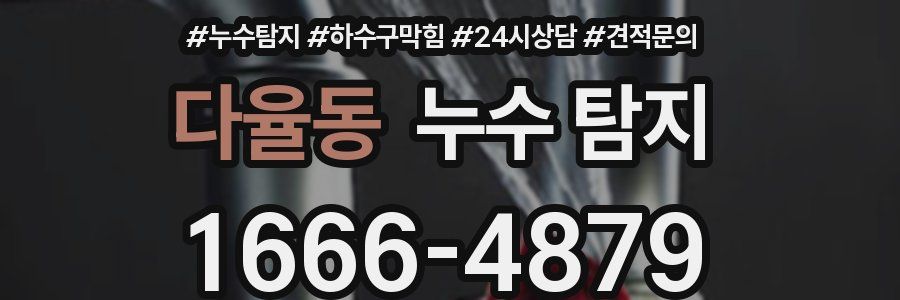 다율동 누수 탐지