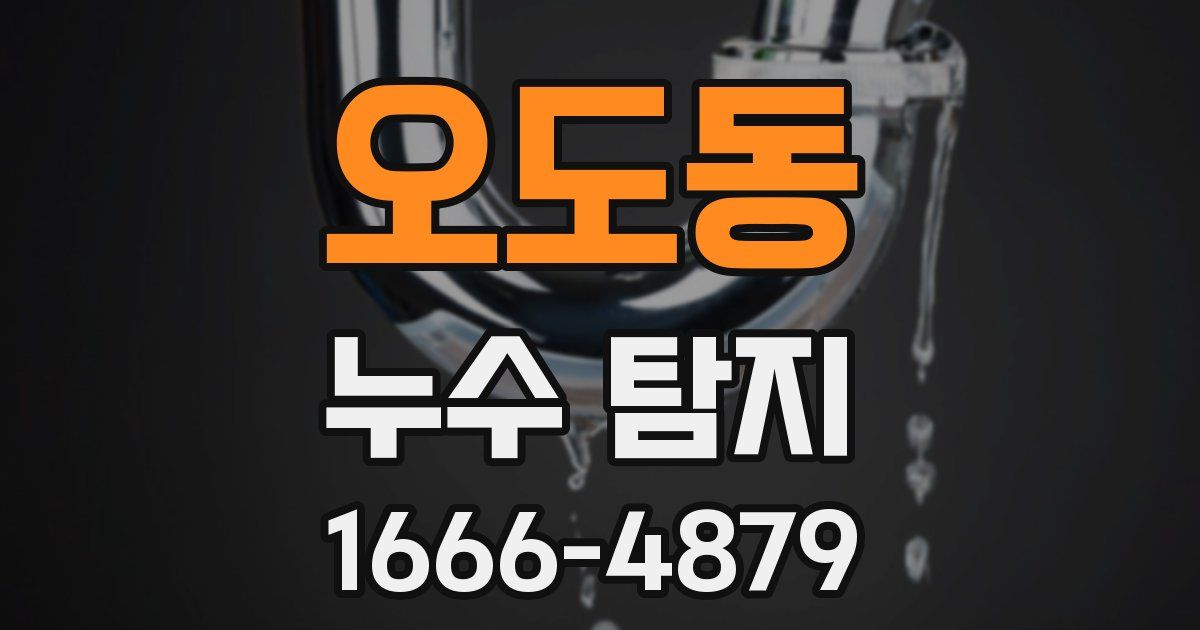 오도동 누수 탐지